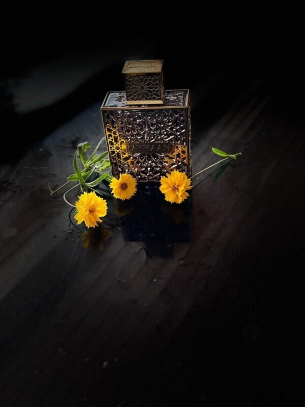 5RdAkIRnNhIoXwh7 Rayhaan Elixir